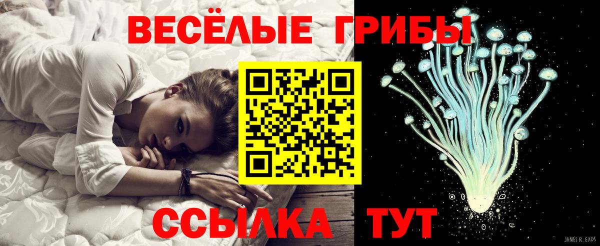 Галлюциногенные грибы Magic Shrooms Чистополь